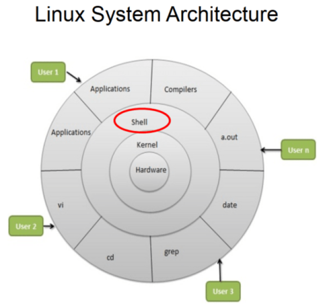 Linux Shell - Tech Junction