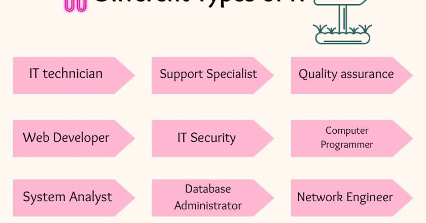 11 Exciting IT Career Paths for Undergraduates