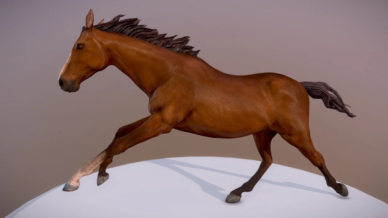 How to view 3d animals with google search in ar