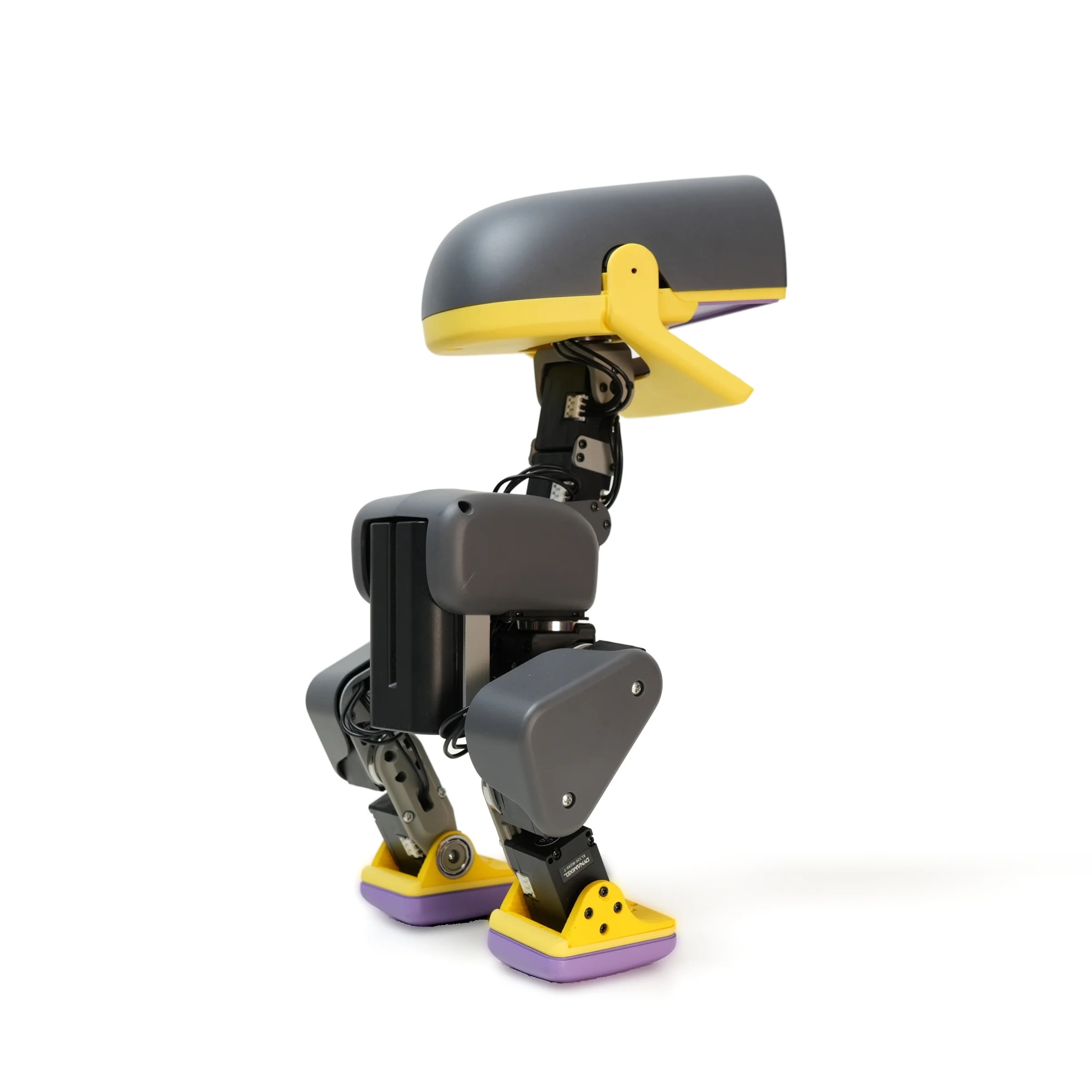 microduck-graphite-standing-back-three-quarter-right-02