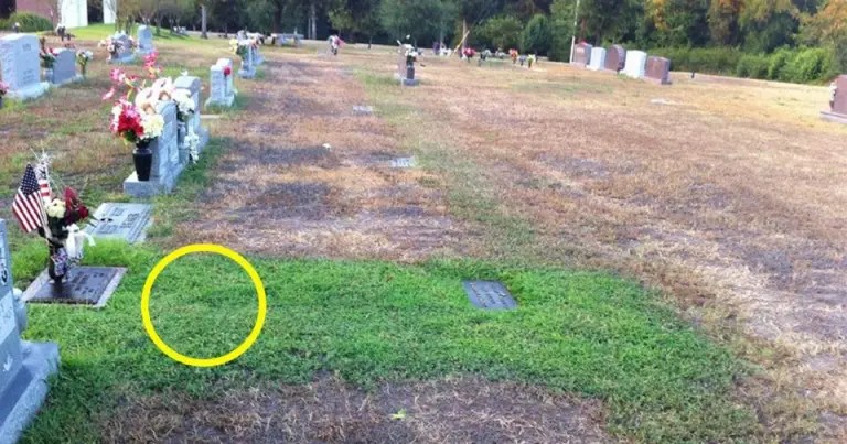 When the parents went to visit their son's grave, they found that it was the only one with grass!