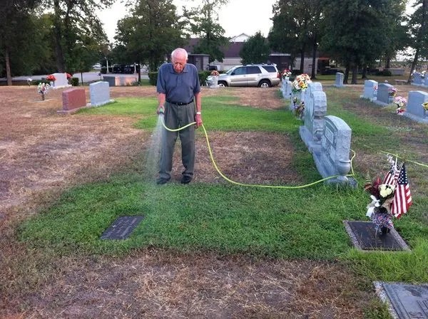 When the parents went to visit their son's grave, they found that it was the only one with grass!