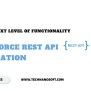 Find The Next Level Of Functionality With Salesforce Rest API Integration