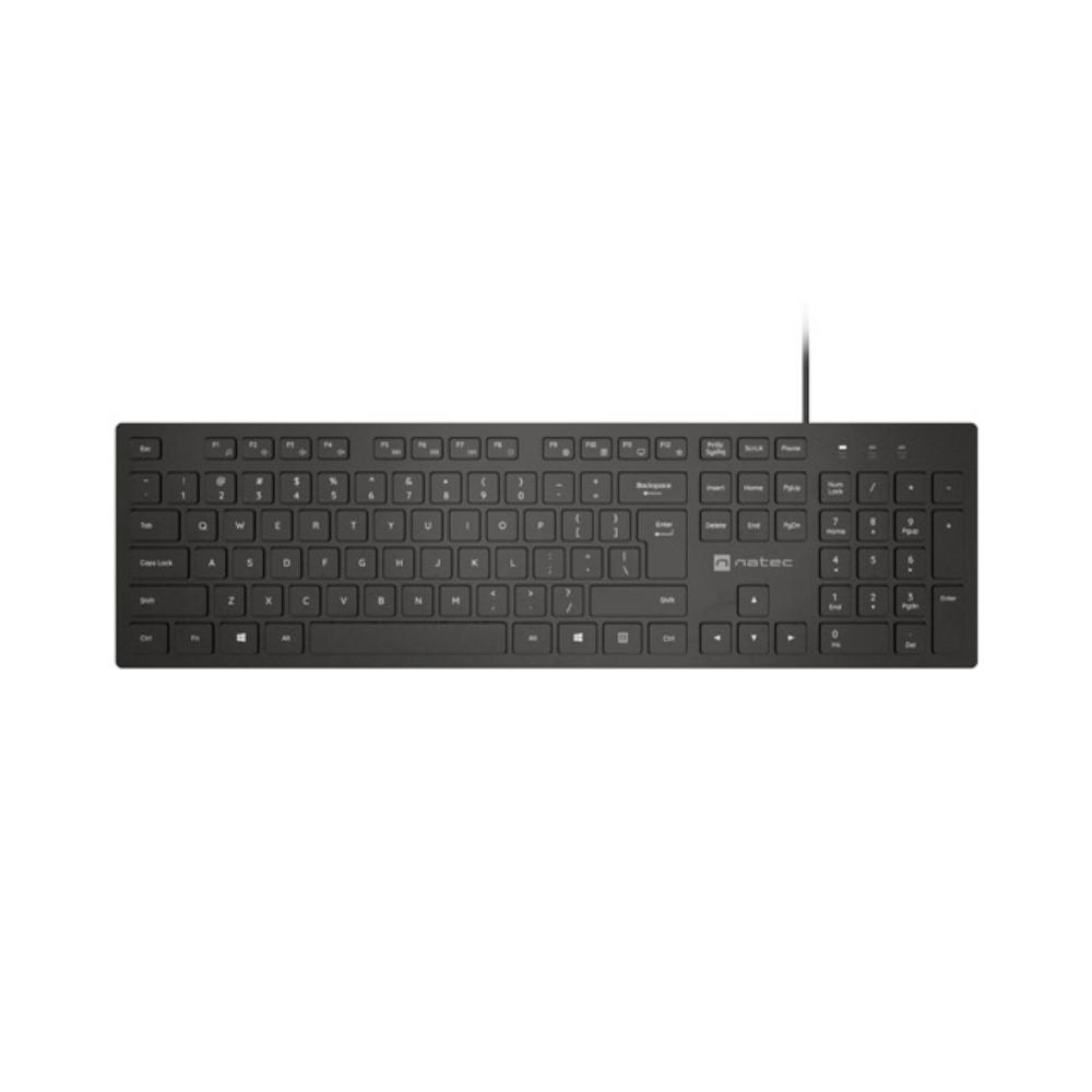 Natec Keyboard Herring Glow Us Black (NKL-2341) (NTCNKL-2341)