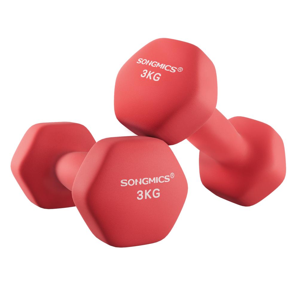 Songmics σετ 2 Αλτήρες 3 κιλών, κόκκινο  (SYL66RD) (SNGSYL66RD)