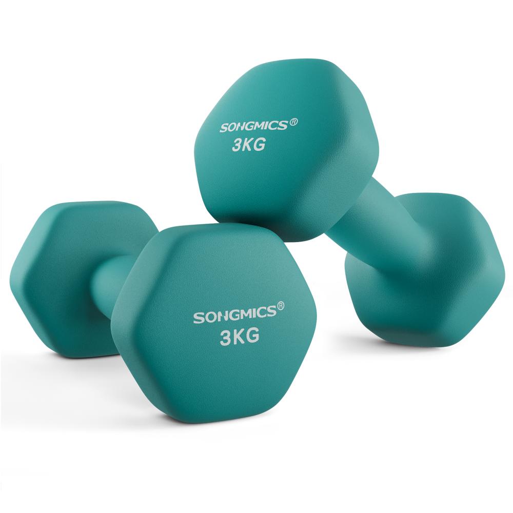 Songmics σετ 2 Αλτήρες 3 κιλών, γαλαζοπράσινο  (SYL906Q01) (SNGSYL906Q01)