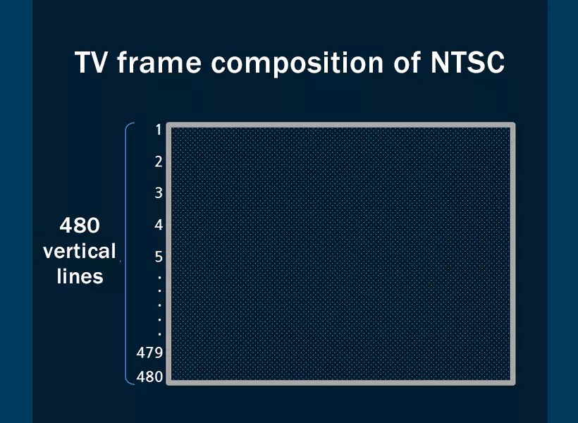 10ntsc-1-6579fa5e06d16