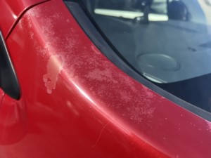自動車の塗装は皮膚と一緒 クリアー剥がれ | 札幌で車の傷修理や板金