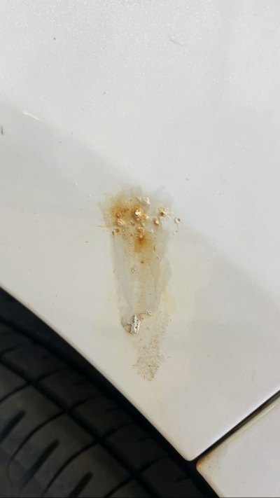 N-BOXリヤフェンダー錆 | 札幌で車の傷修理や板金塗装なら