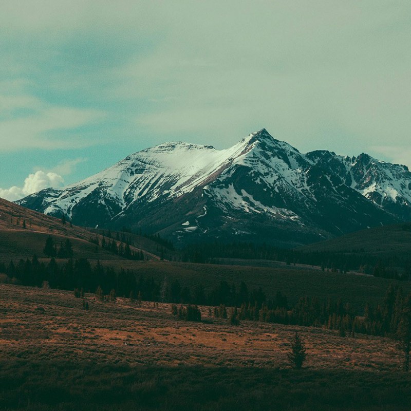 countryside