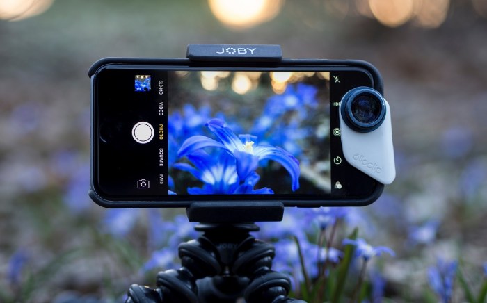 A phone is filming flowers on a mobile tripod