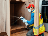 Best Pest Control Services In India Technical Pest Control