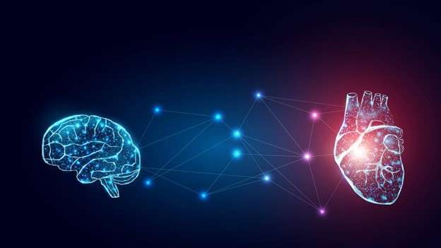 القلب والدماغ: حوار خفي يكشفه العلم بين العاطفة والصحة القلبية