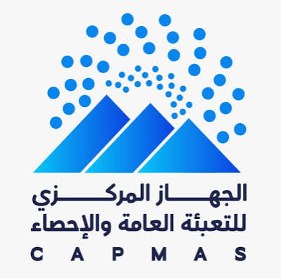 “الإحصاء”: 1.18 مليون تصريح عمل للمصريين بالخارج في 2025 بزيادة 9.1%.. والدول العربية تستحوذ على 96.5%