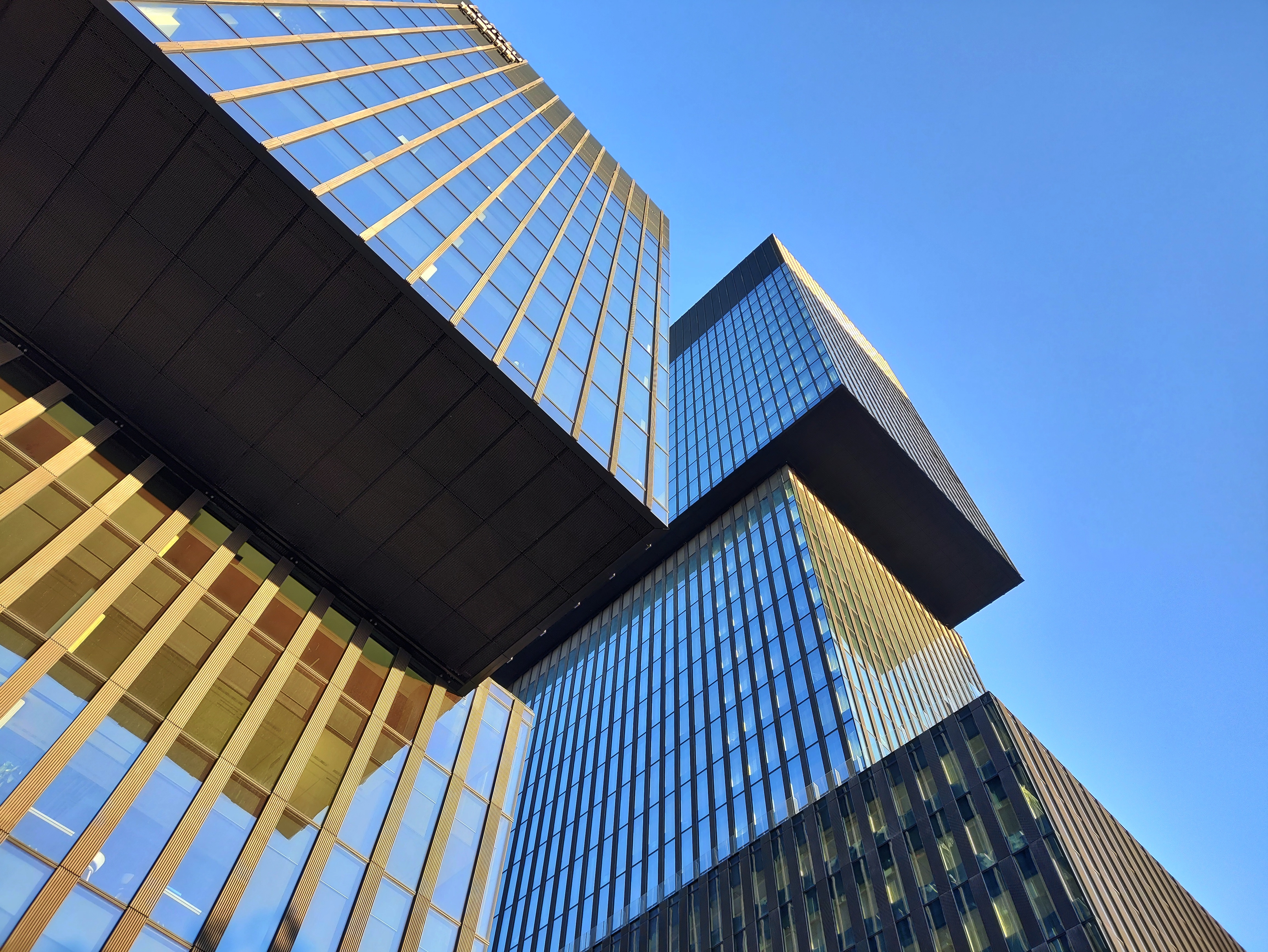 8. Do Gory Technosenior