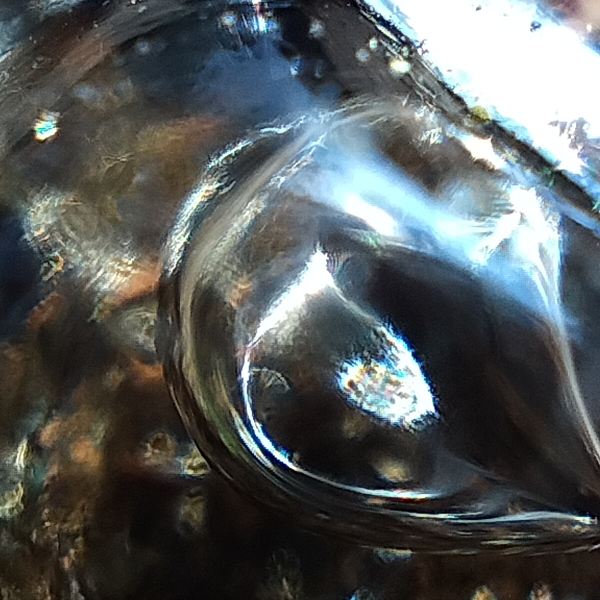 Oppo Reno 7 - Microskop (2)