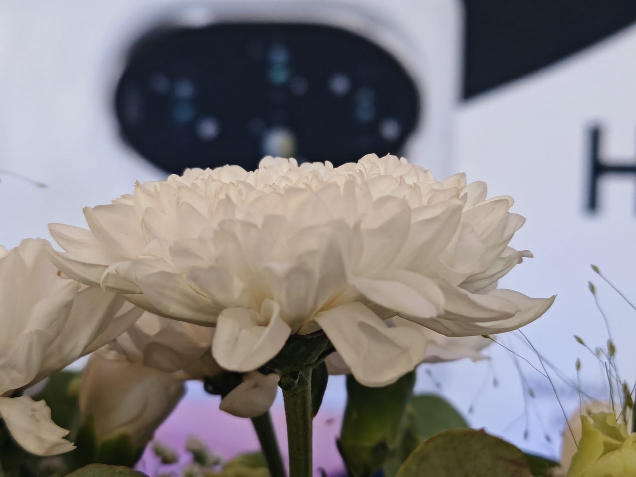 Honor 200 Pro