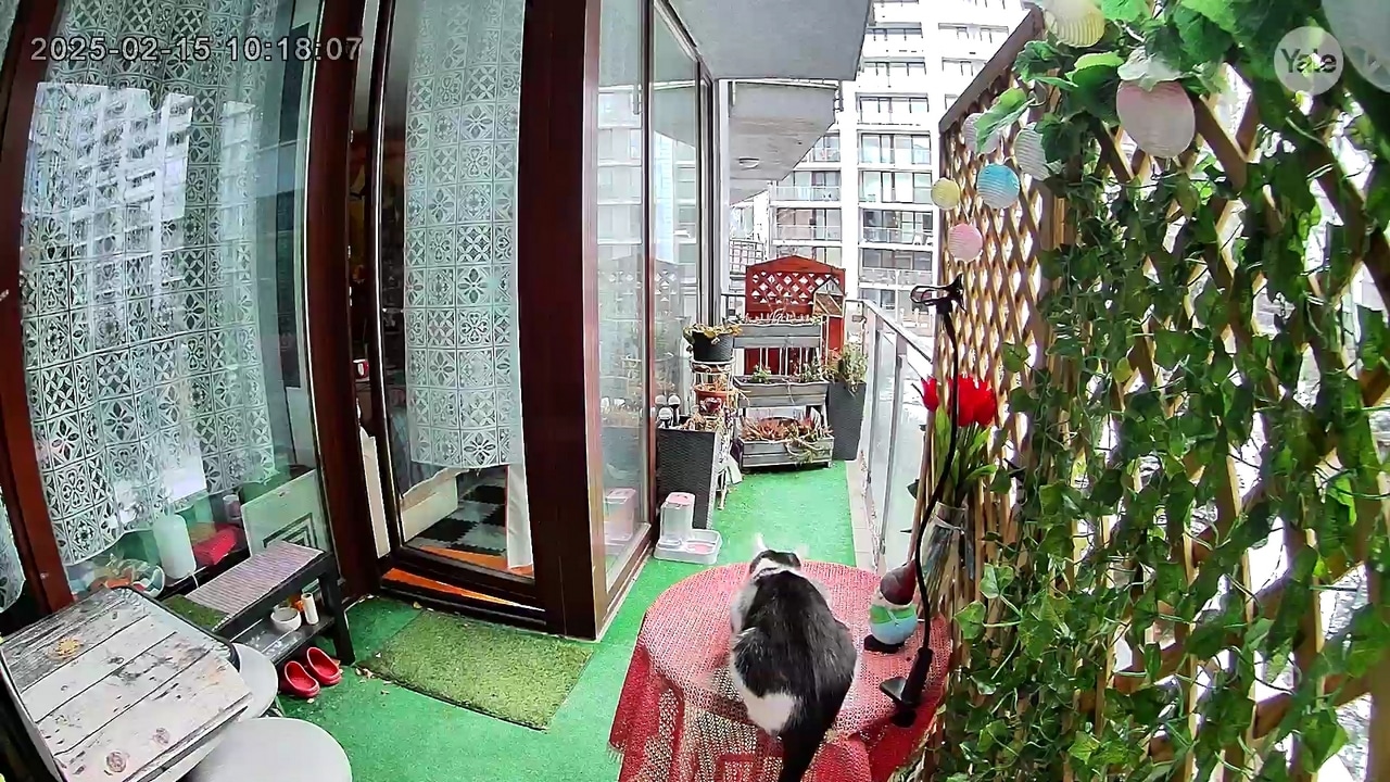 Yale Smart Outdoor Camera (1)