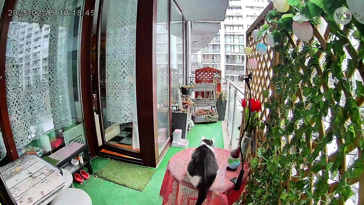 Yale Smart Outdoor Camera (3)