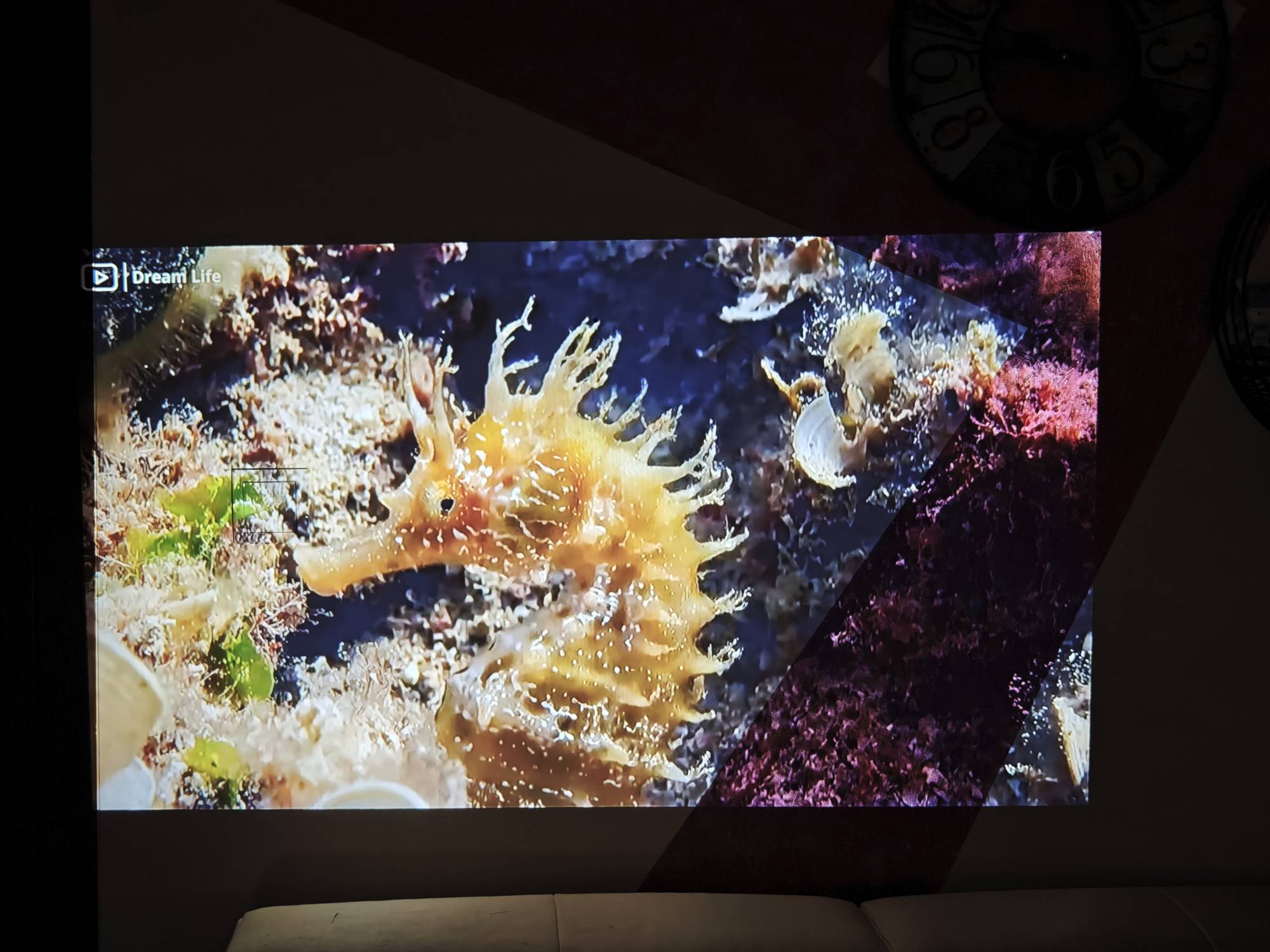 Viewsonic Lx60Hd