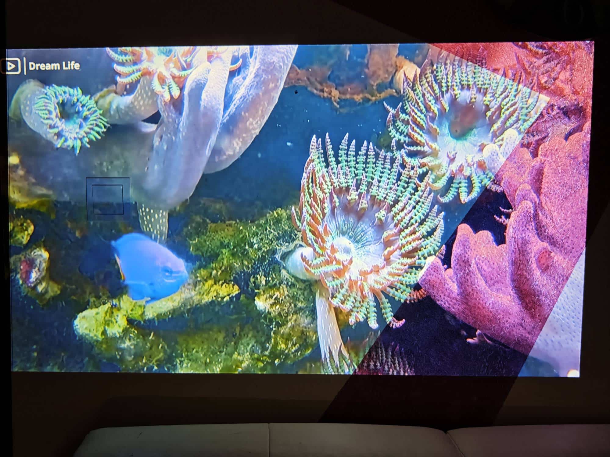 Viewsonic Lx60Hd