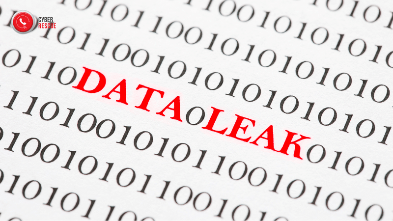 Wyciek danych z Botland! Co się stało?