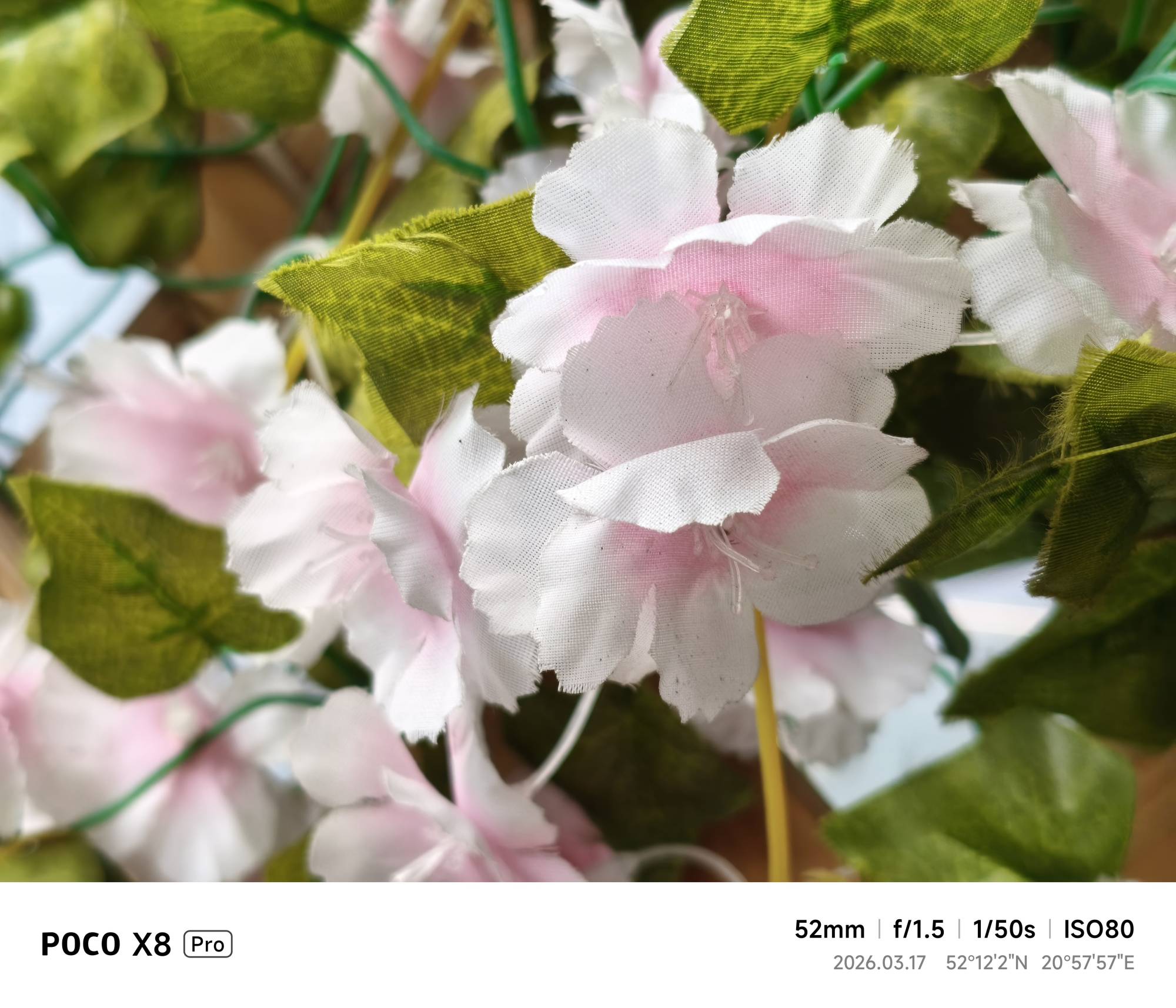 Poco X8 Pro 002