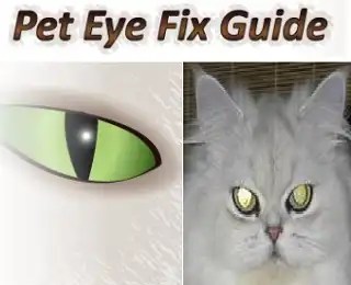 Pet Eye Fix Guide Box Shot
