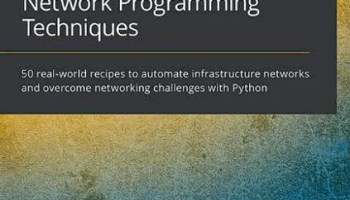 Python Network Programming Techniques
