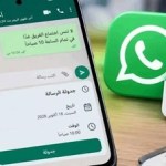 جدولة- الرسائل- فى- واتساب