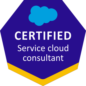 Service cloud consultant