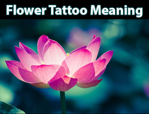 Lotus Flower: Tattoo Meaning, Symbolism & Spiritually, Jewelry Explained 390_x_509_jpg