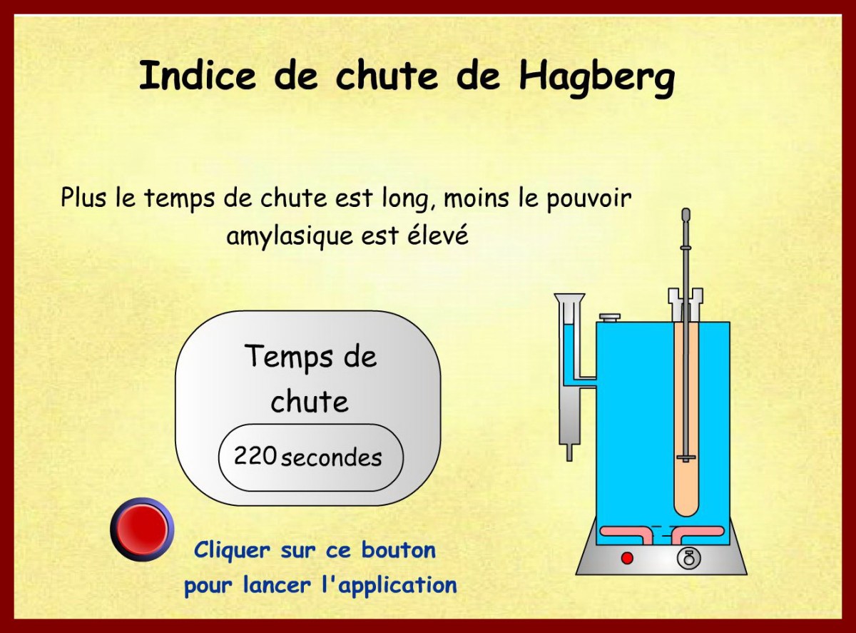 Une image contenant texte Description générée automatiquement