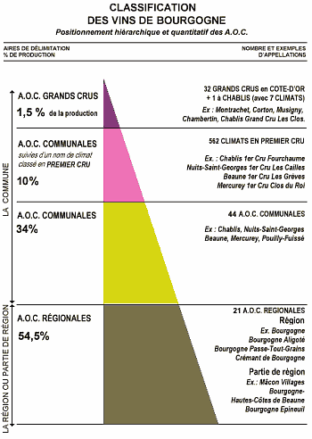 au début du 19ème siècle, il fut  supplanté par le cépage