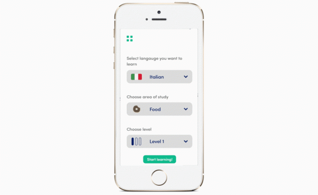 Build Language Learning App