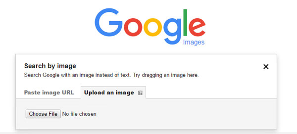 Google Reverse Image Search