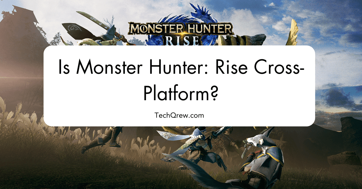 Is Monster Hunter: Rise Cross-Platform?