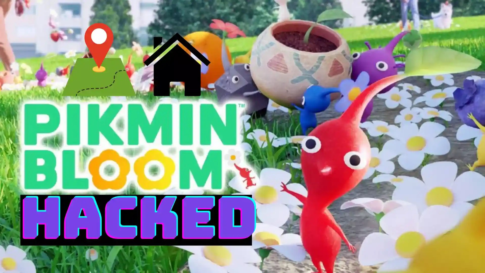 pikmin bloom hack