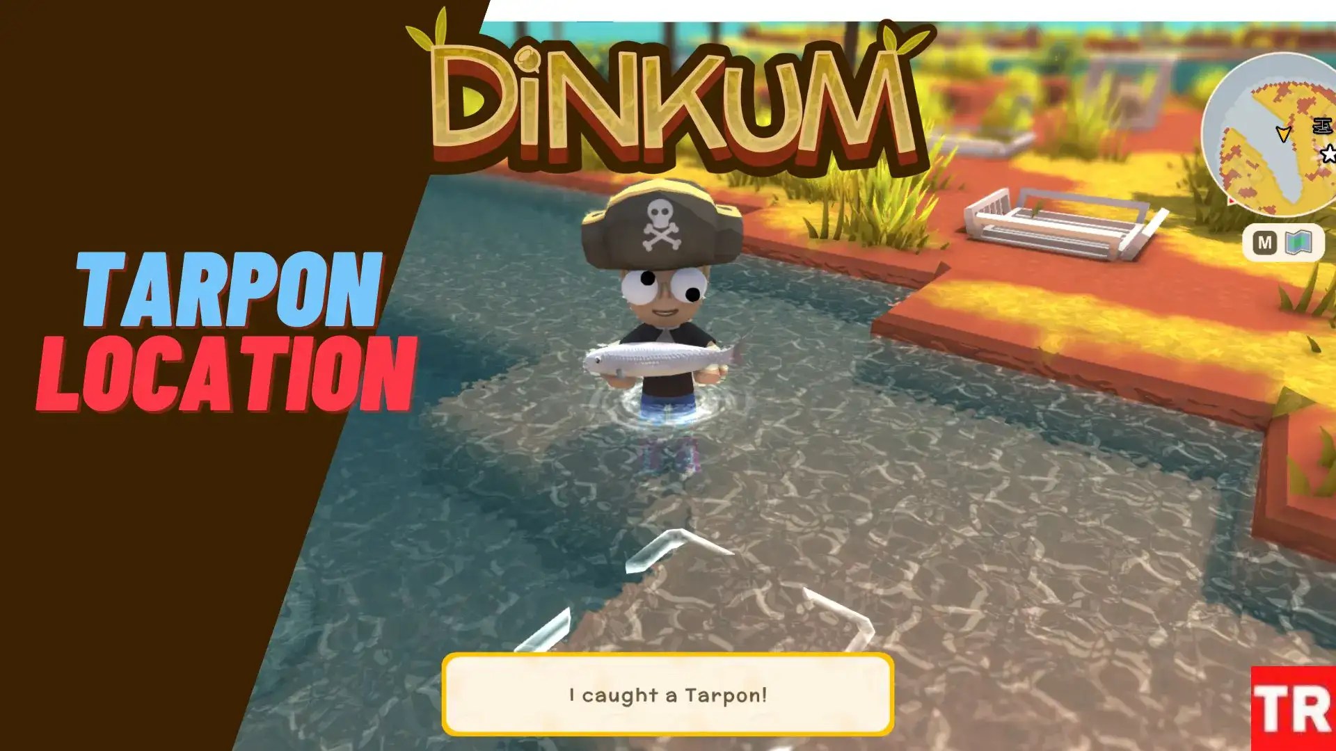 Dinkum Tarpon Where To Find & How To Catch Location Guide