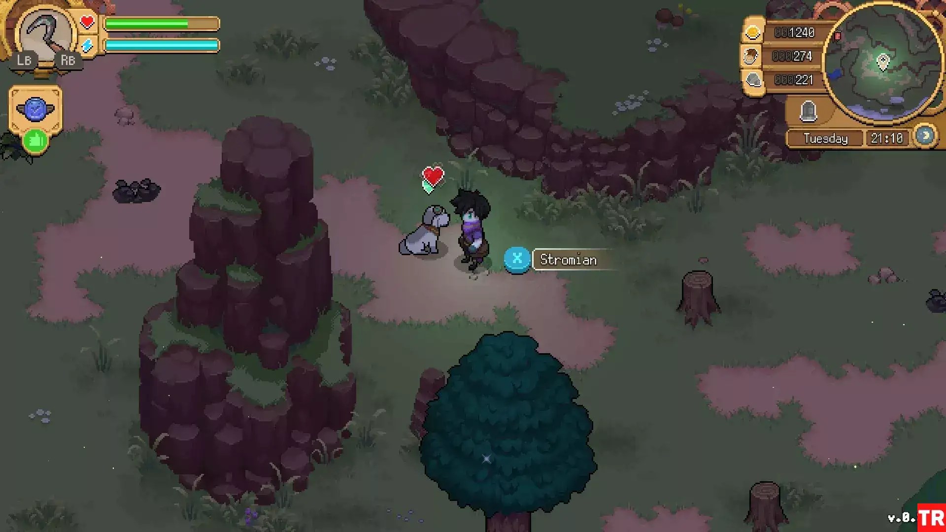 potion permit dog