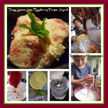 Easy Tangy Lemon Lime Raspberry Frozen Yogurt