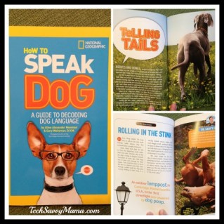 How to Speak Dog
