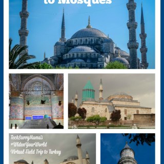 An Introduction to Mosques. What you need to know about mosques in Turkey on TechSavvyMama.com