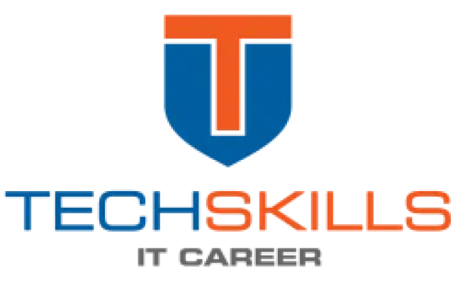 Data Analyst | TechSkills Institute