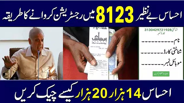Latest Update Ehsaas Programs Payments Check Online 2022