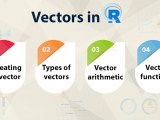 R Vector How To Create Combine And Index Vectors In R Techvidvan