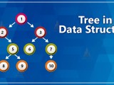 Why We Use Tree In Data Structure Infoupdate Org