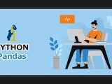 Python Pandas Introduction Techvidvan