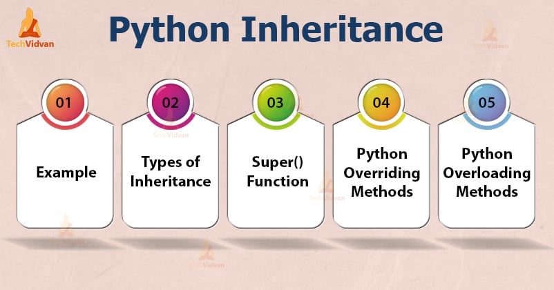 Python Inheritance - Learn to build relationship between classes ...