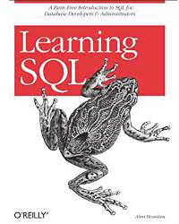 Top 10 Sql Books To Learn Sql Programming Techvidvan - Incredible City Illustration - Ultra HD